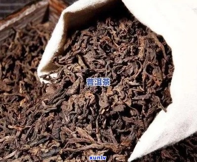 百色可靠的熟普洱茶种类