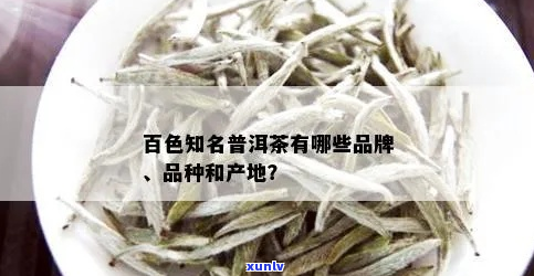 广西百色特产茶叶种类及其品质详解，为您的品茶之旅提供全面指南