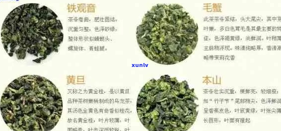 除湿效果的茶种类及其功效解析：一次解决你的所有疑问