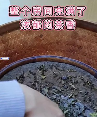 哪种茶水具有除湿效果：综合分析与推荐