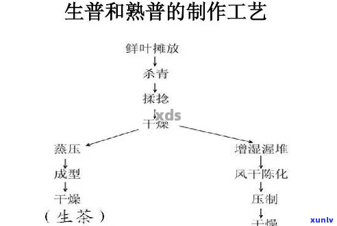 新工艺下普洱茶的发酵时长探究