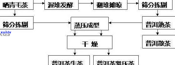 新工艺下普洱茶的发酵时长探究