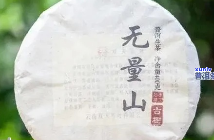 云南无量山普洱茶357克多少钱2008年品质分析