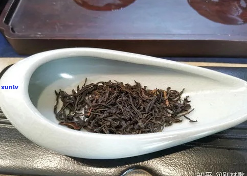 云南红茶的品种是什么？