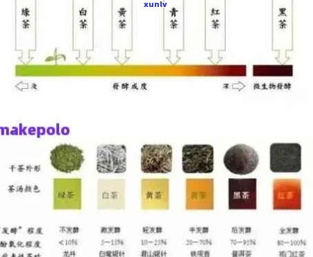 茶界探秘：普洱茶等级代号的深度解析