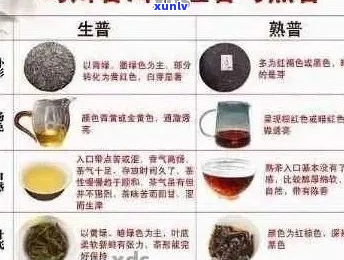 普洱茶叶分级指南：全面解析普洱茶等级划分与选购技巧