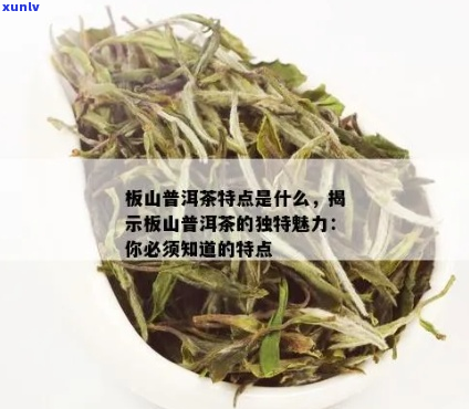 探索传统韵味——板山普洱茶的独特魅力