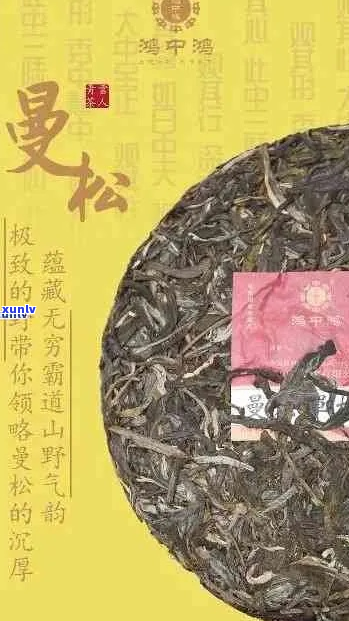 曼松普洱茶的益处：健与养生之道