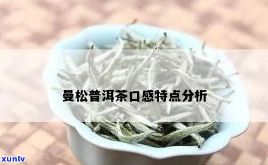 曼松普洱茶口感特点解析