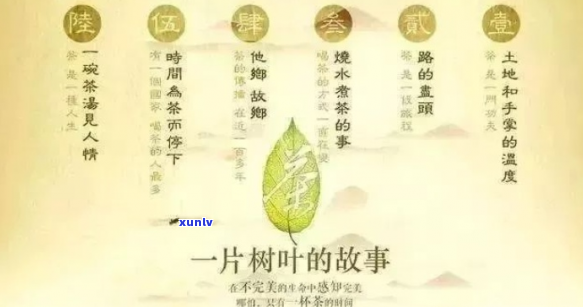 茶的历与文化：探秘五千年的茶叶传奇