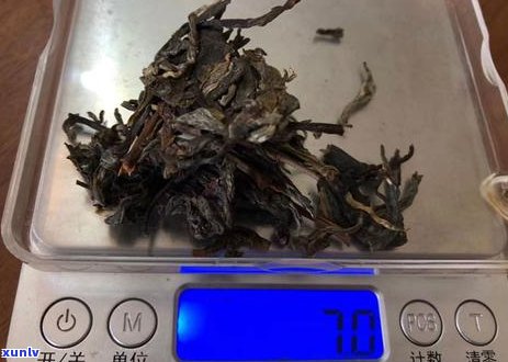 冰岛茶王树今年下了多少茶