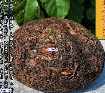 探索古树金瓜普洱茶的价格和选购指南