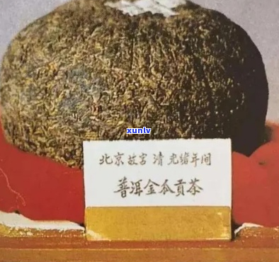 普洱茶金瓜是什么意思