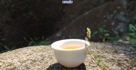 探索黄茶与普洱茶：哪种茶叶更适合您？