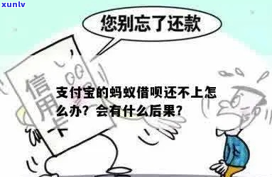 还不上借呗了怎么办挽救 *** -还不上借呗了怎么办挽救 *** 呢