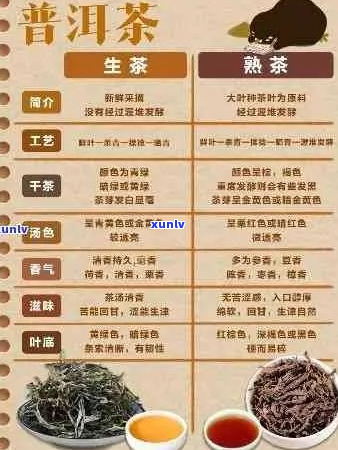 普洱茶中叶黄素含量及饮用建议