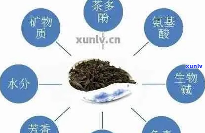 普洱茶中叶黄素含量及饮用建议