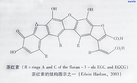 普洱茶中茶黄素的测定及其健益处