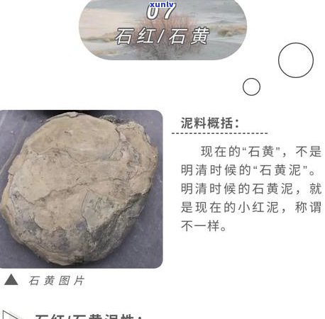 探索普洱茶的基石：解析其泥料的多样性与品质特征