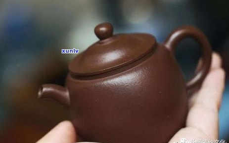 探索普洱茶的基石：解析其泥料的多样性与品质特征