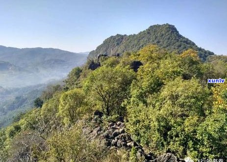 普洱茶喝到山顶会怎么样