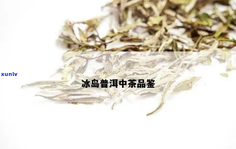 中茶名山系列之冰岛茶品鉴