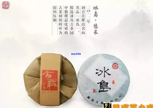 中茶名山系列之冰岛茶品鉴