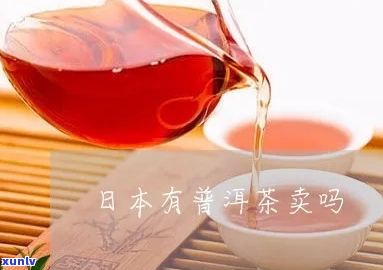 如何开启普洱茶茶