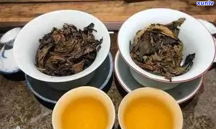 探究普洱茶褪色之谜：颜色变淡，是否意味着品质下降？