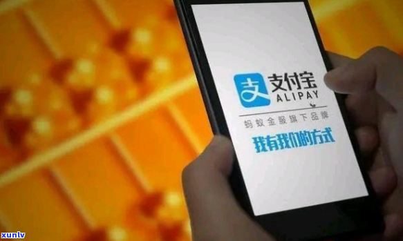 网上支付宝期消息是否属实-支付宝消息会有提示吗