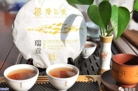 瑞贡普洱茶：茶韵悠长，香醇四溢