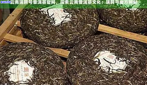 云南瑞聘号普洱茶：品鉴与收藏的艺术，全面解答消费者疑问