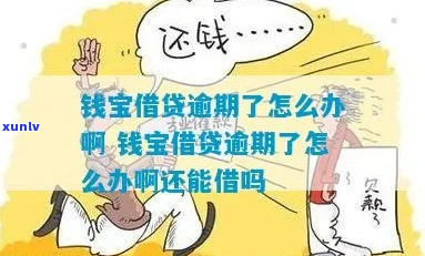 我在用钱宝逾期了怎么办