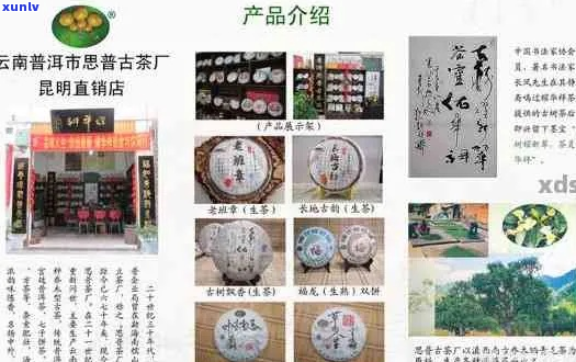 博闻科技购入优质勐海茶厂产品系列，提升市场竞争力