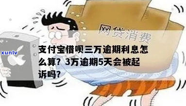 借贷宝被逾期3万如何处理