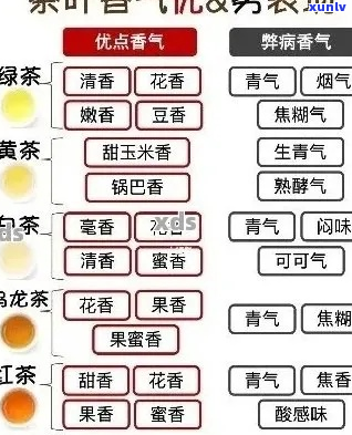 普洱茶香型全解析：揭秘各种香气类型及其鉴技巧