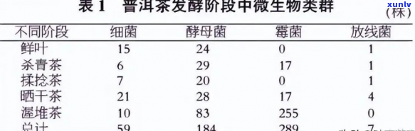 普洱茶发酵过程中的益生菌种研究——白曲霉的角色与影响