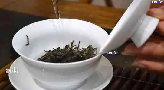 普洱茶冲泡与茶杯选择指南