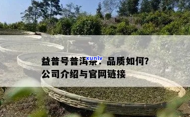 普洱茶公众号套路深嘛什么意思