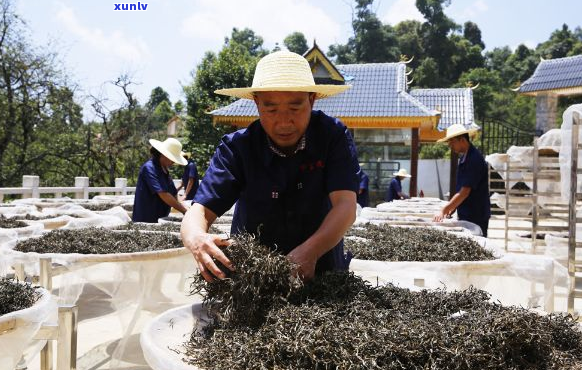 普洱茶白布加工厂家联系方式