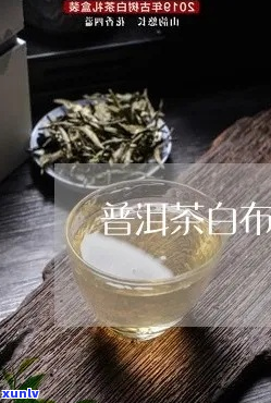 普洱茶白布加工厂家联系方式