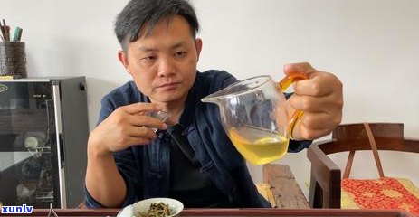 为什么不能随意摘取普洱茶树的叶子？