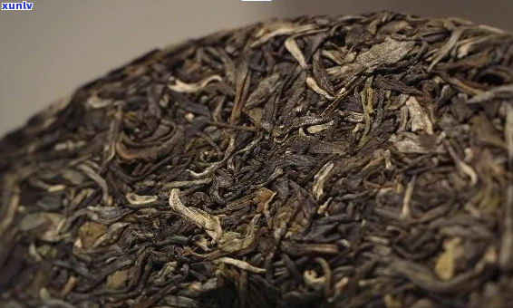 6年陈普洱茶生茶是否还能饮用？