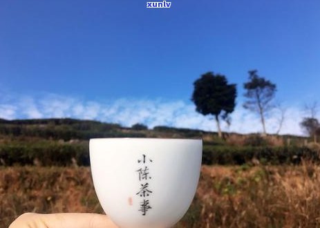 《岩茶VS普洱茶：两大茶类的特性与区别深度解析》