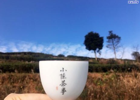 《岩茶VS普洱茶：两大茶类的特性与区别深度解析》