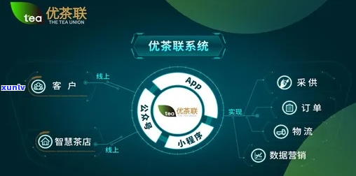 农号茶业：一站式解决方案，引领健茶饮新潮流