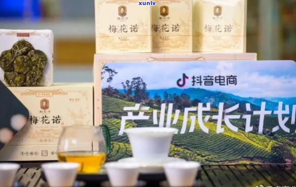 农号茶业：一站式解决方案，引领健茶饮新潮流