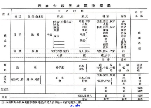 农族谱网：全面探索与发现中国少数民族的丰富文化与传统