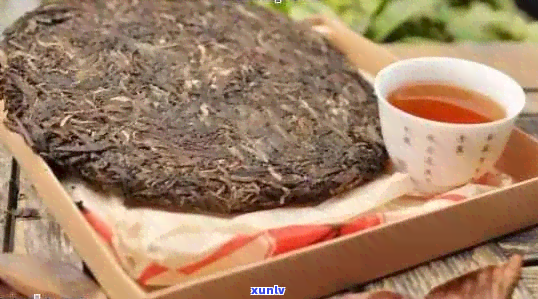 普洱熟茶怎么存放普洱茶茶饼