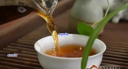 普洱适合多少度水泡茶喝